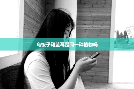 乌饭子和蓝莓是同一种植物吗
