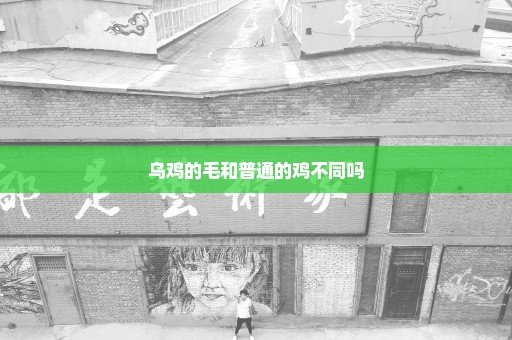 乌鸡的毛和普通的鸡不同吗