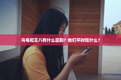 乌龟和王八有什么区别？他们平时吃什么？