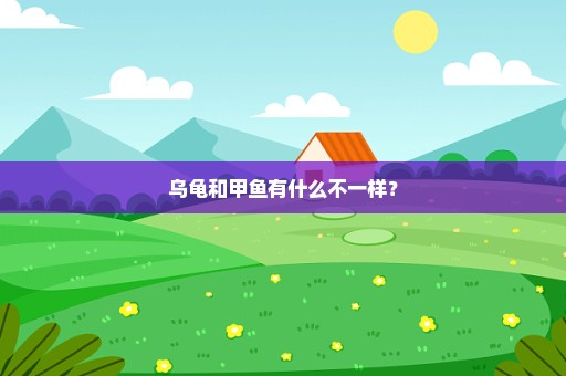 乌龟和甲鱼有什么不一样？