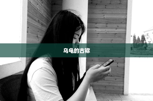 乌龟的古称