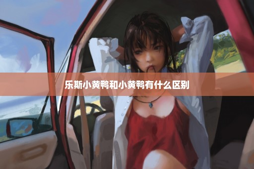 乐斯小黄鸭和小黄鸭有什么区别