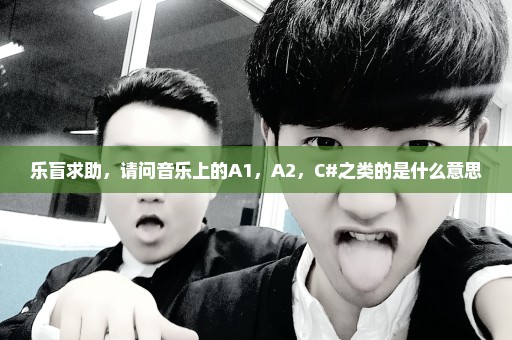 乐盲求助，请问音乐上的A1，A2，C#之类的是什么意思