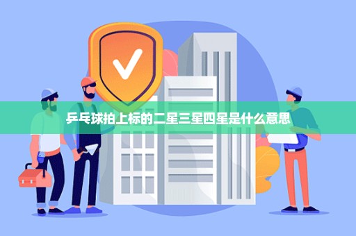 乒乓球拍上标的二星三星四星是什么意思