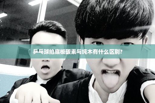 乒乓球拍底板碳素与纯木有什么区别?