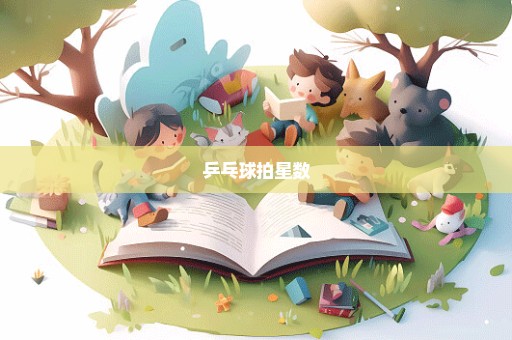乒乓球拍星数