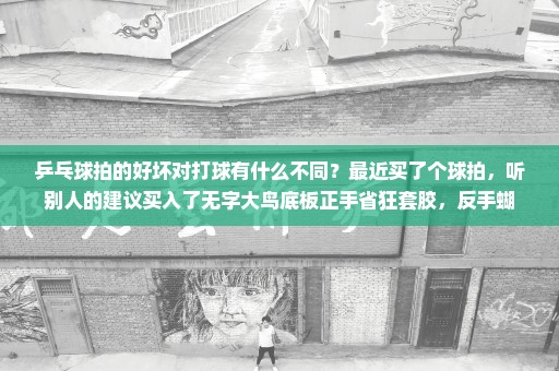 乒乓球拍的好坏对打球有什么不同？最近买了个球拍，听别人的建议买入了无字大鸟底板正手省狂套胶，反手蝴