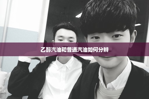 乙醇汽油和普通汽油如何分辨