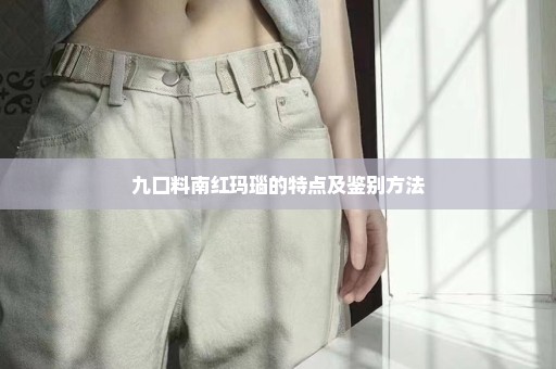 九口料南红玛瑙的特点及鉴别方法