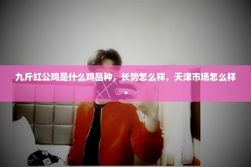 九斤红公鸡是什么鸡品种，长势怎么样，天津市场怎么样。