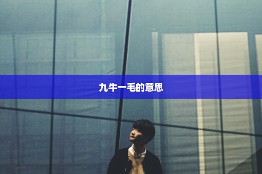 九牛一毛的意思