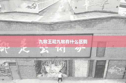 九牧王和九牧有什么区别