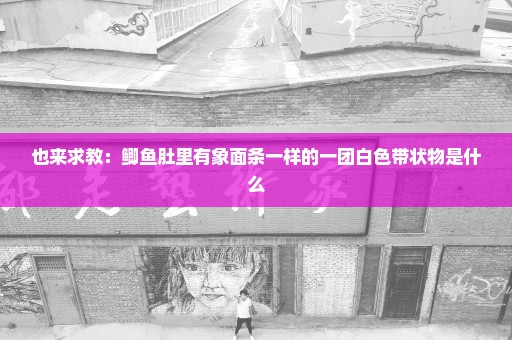 也来求教：鲫鱼肚里有象面条一样的一团白色带状物是什么
