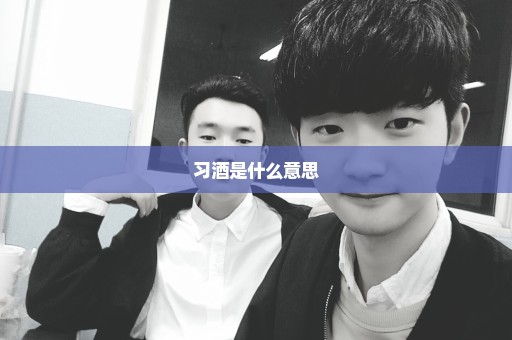 习酒是什么意思