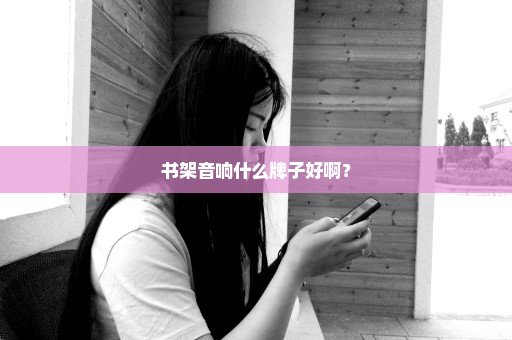 书架音响什么牌子好啊？
