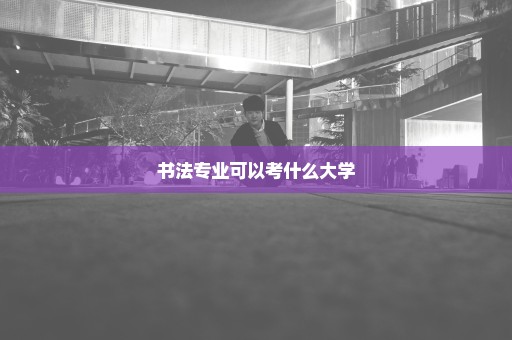 书法专业可以考什么大学