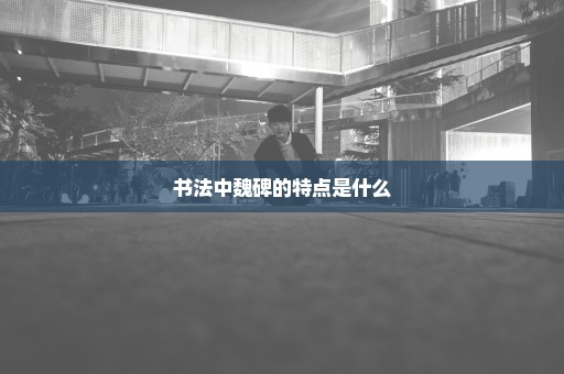 书法中魏碑的特点是什么