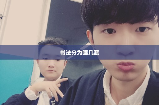 书法分为哪几派