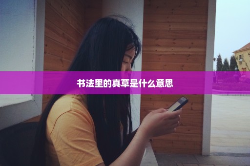 书法里的真草是什么意思
