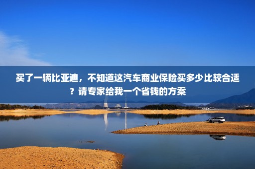买了一辆比亚迪，不知道这汽车商业保险买多少比较合适？请专家给我一个省钱的方案