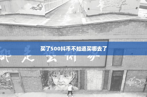 买了500抖币不知道买哪去了