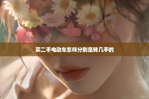 买二手电动车怎样分别是转几手的