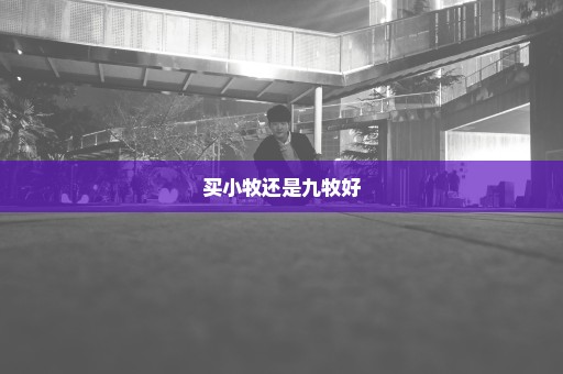 买小牧还是九牧好