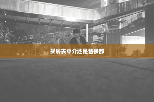 买房去中介还是售楼部
