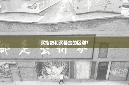 买指数和买基金的区别？
