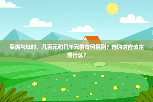 买燃气灶时，几百元和几千元的有何区别？选购时应该注意什么？