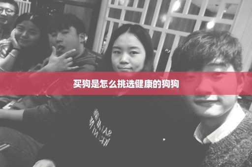 买狗是怎么挑选健康的狗狗