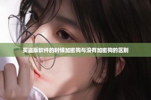 买盗版软件的时候加密狗与没有加密狗的区别