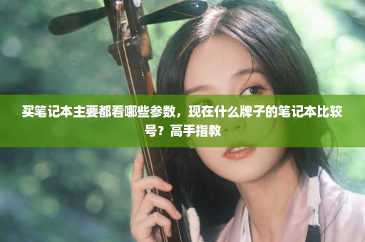 买笔记本主要都看哪些参数，现在什么牌子的笔记本比较号？高手指教