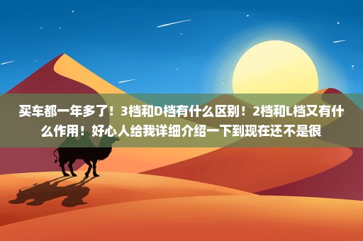 买车都一年多了！3档和D档有什么区别！2档和L档又有什么作用！好心人给我详细介绍一下到现在还不是很