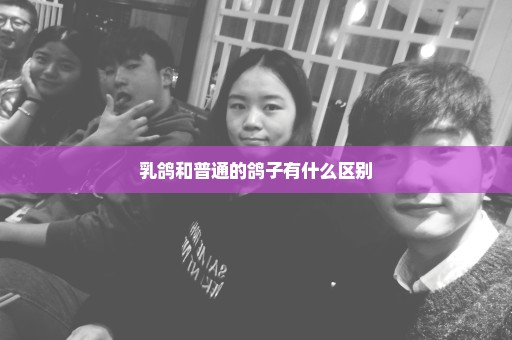 乳鸽和普通的鸽子有什么区别