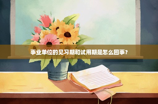 事业单位的见习期和试用期是怎么回事？