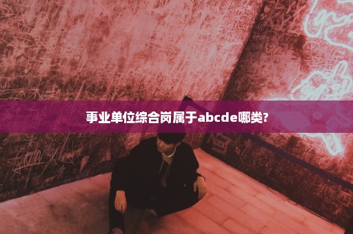事业单位综合岗属于abcde哪类?