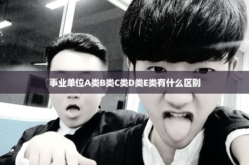 事业单位A类B类C类D类E类有什么区别