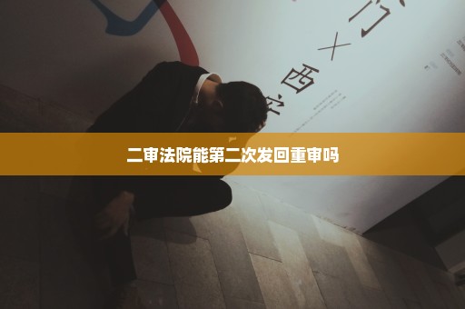 二审法院能第二次发回重审吗