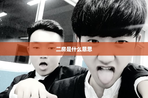 二房是什么意思