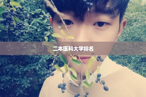二本医科大学排名