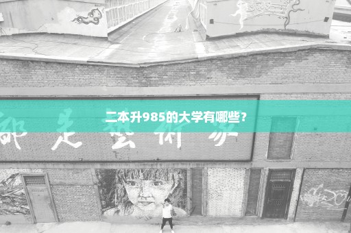 二本升985的大学有哪些？