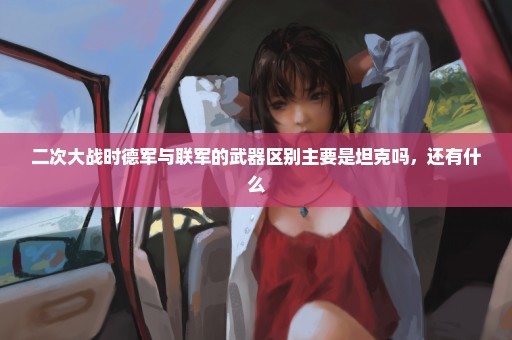 二次大战时德军与联军的武器区别主要是坦克吗，还有什么