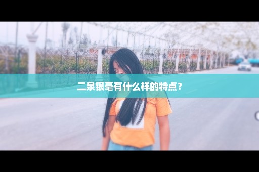 二泉银毫有什么样的特点？