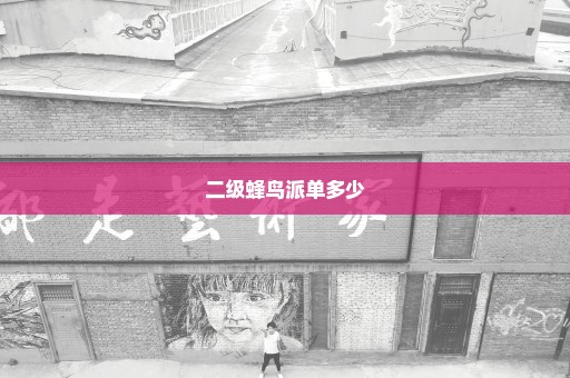 二级蜂鸟派单多少