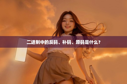 二进制中的反码、补码、原码是什么？