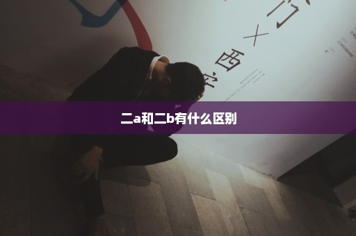 二a和二b有什么区别