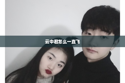云中君怎么一直飞