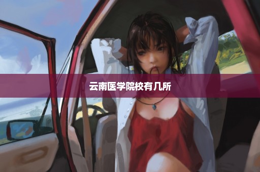 云南医学院校有几所