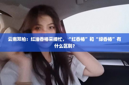 云南双柏：红油香椿采摘忙，“红香椿”和“绿香椿”有什么区别？